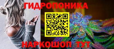 apvp Нарткала