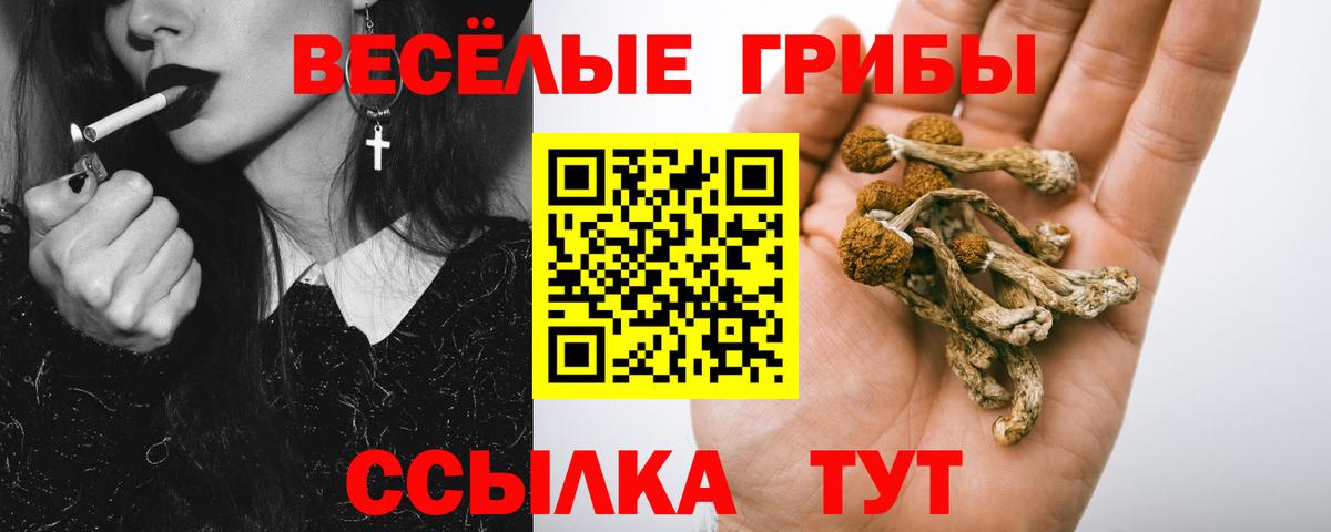 Псилоцибиновые грибы MAGIC MUSHROOMS Сланцы
